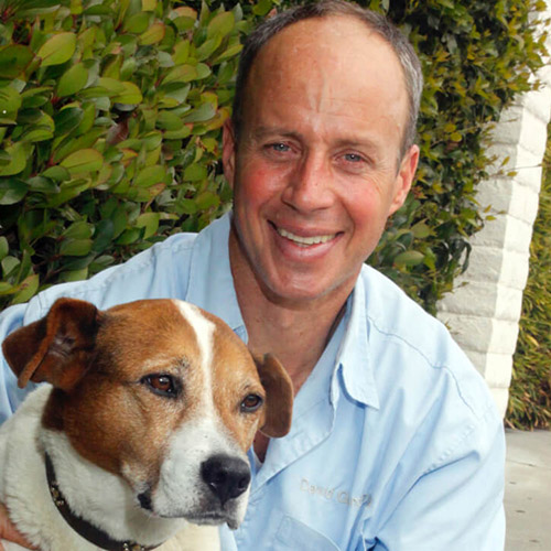 About Town Vet El Cerrito CA About Us